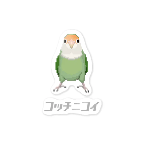 こっちに来て欲しいコザクラインコ　シーグリーン Sticker