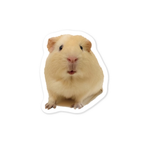 モルモットのきんとき Sticker
