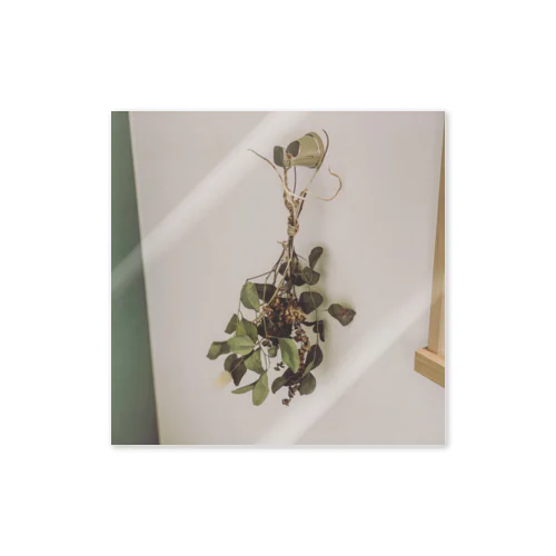 dried  plant  ステッカー