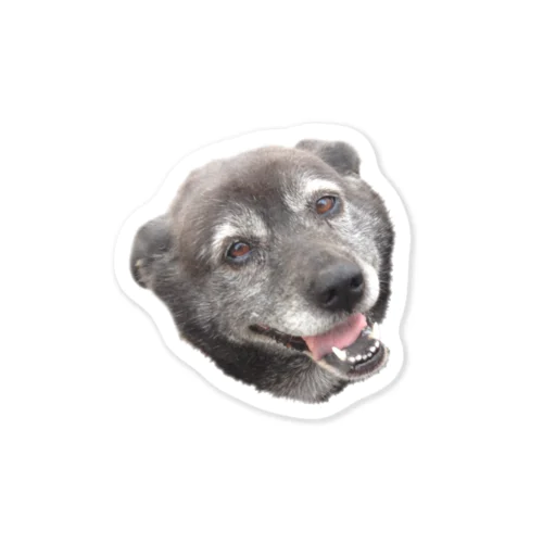 QOO Sticker