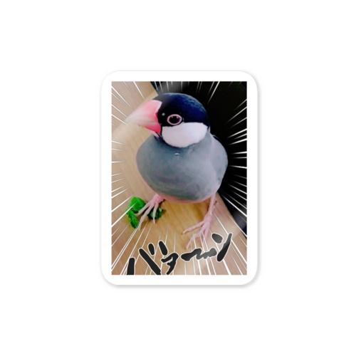 好きな豆苗をふみ、えらそうな文鳥さん Sticker
