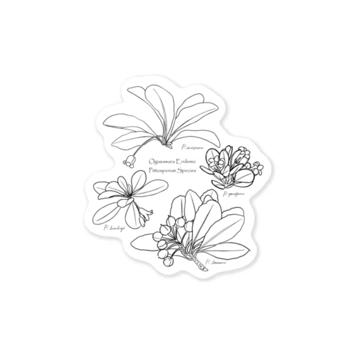 小笠原の固有植物(i)トベラ4種ステッカー Sticker