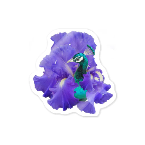 Iris Peacock Sticker