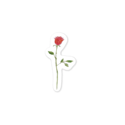 感謝の薔薇 Sticker