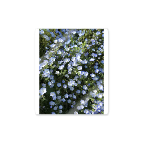 Love Nemophila ステッカー