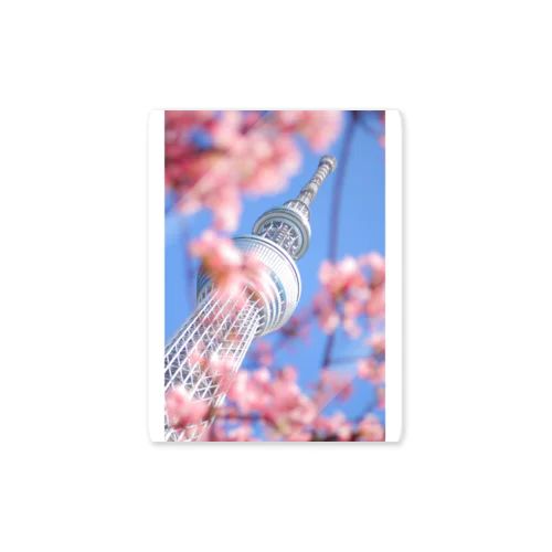 Tokyo SKYTREE in Spring Sticker