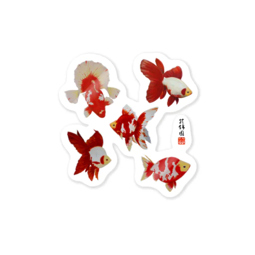 【金魚】～花鳥図～ Sticker
