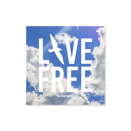 LIVE FREE Sticker