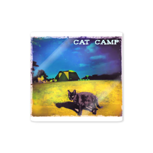 CAT CAMP Sticker