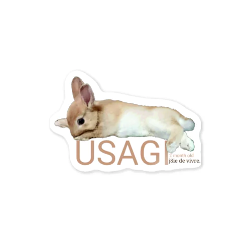 USAGI 子うさぎ（生後２ヶ月）の休憩　 Sticker