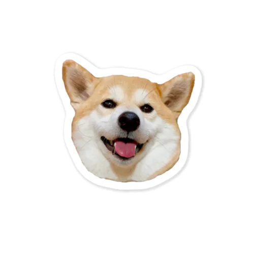 柴犬のまるちゃん Sticker