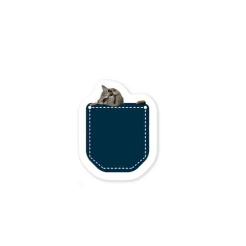 ポケットin猫 Sticker