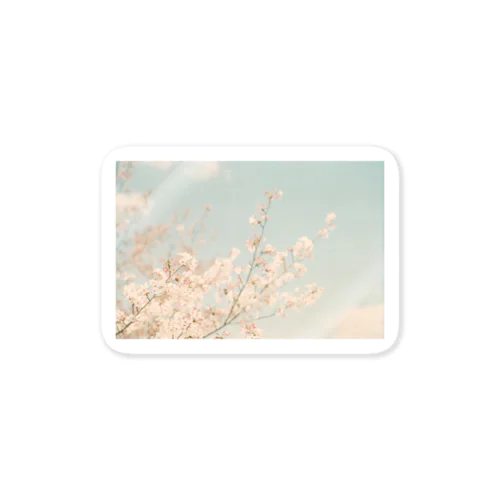 春桜 Sticker