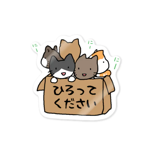 ダンボール猫（拾って） Sticker