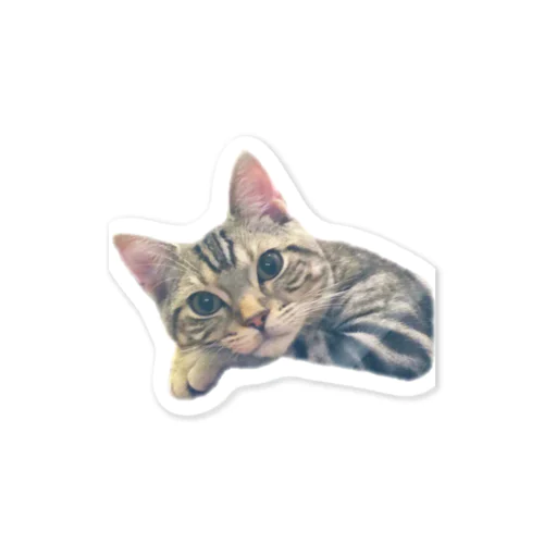 まったりナツくん Sticker