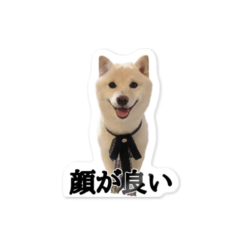 美少女犬・ぼん Sticker