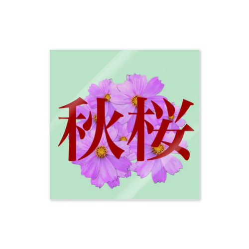 秋桜 ステッカー