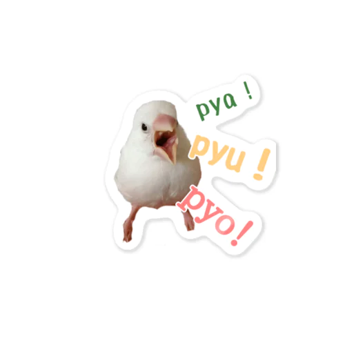 XL文鳥15 たまちゃん　ぐせり Sticker