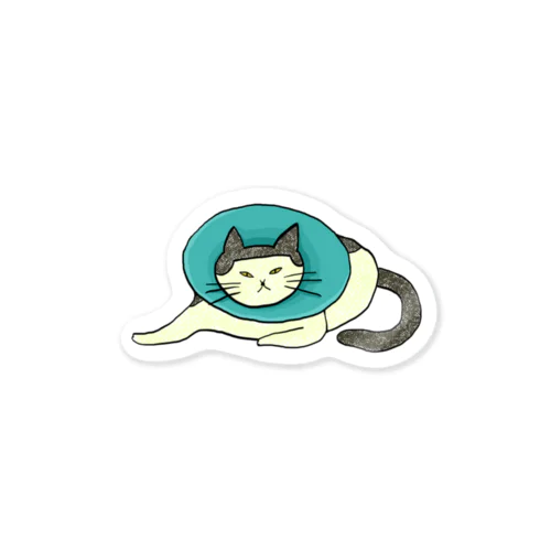 エリザベスカラーをつける猫 Sticker