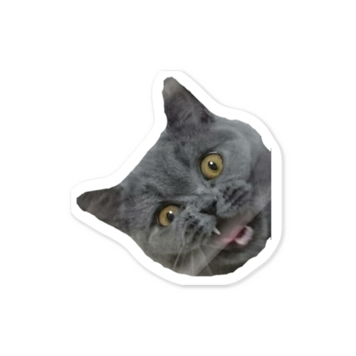 グーちゃん（あくび）🐈 Sticker
