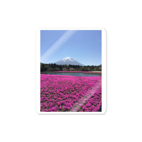 富士芝桜 Sticker