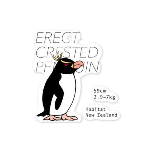 マユダチペンギン Sticker