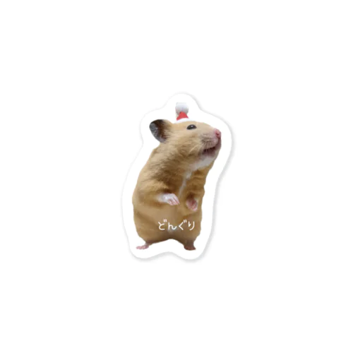 クリスマス🎄どんぐり🐹 Sticker