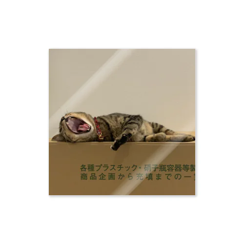 あくびのねこのこ Sticker