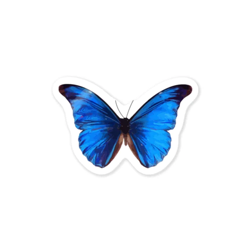 Morpho ステッカー