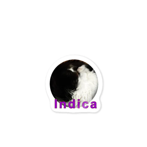 indica　cat ステッカー