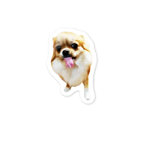 Coco Sticker