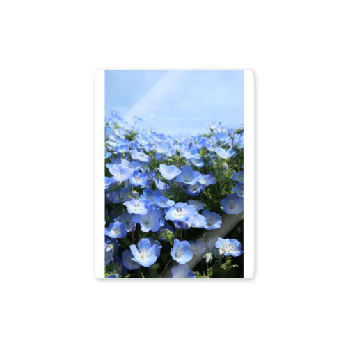 tiare flower Nemophila ステッカー