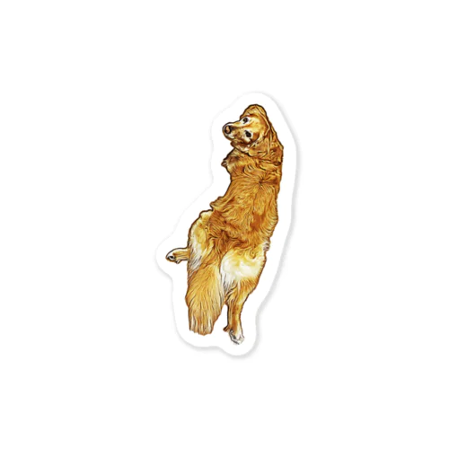 golden retriever Sticker