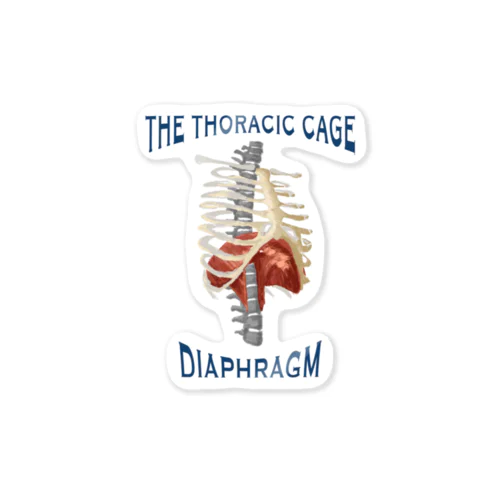 ココハレDIAPHRAGM(横隔膜)  ステッカー