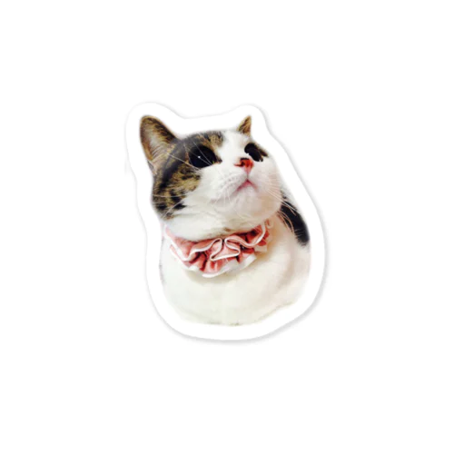 ふわふわ猫ライチ Sticker