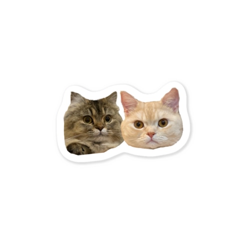 マロフラミニフェイス Sticker