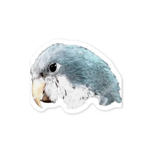 鳥鳥鳥 オキナインコ Sticker