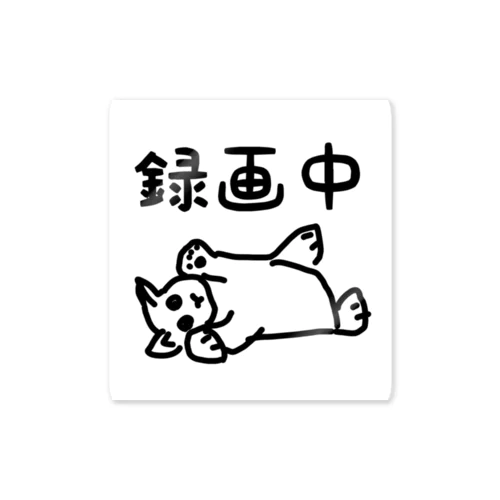 録画中 Sticker