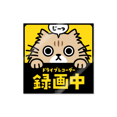 じーっとみる猫・ドライブレコーダー録画中！（チンチラゴールデン） ステッカー