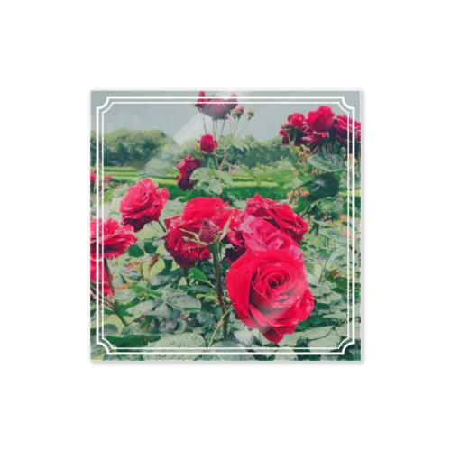 Rose Garden Sticker