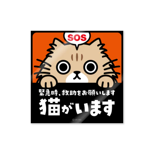 じーっとみる猫 [SOS]・猫がいます（チンチラゴールデン） Sticker