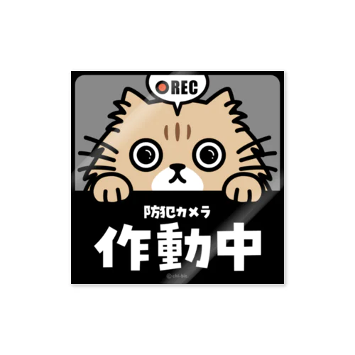 じーっとみる猫 [REC]・防犯カメラ作動中！（チンチラゴールデン） ステッカー