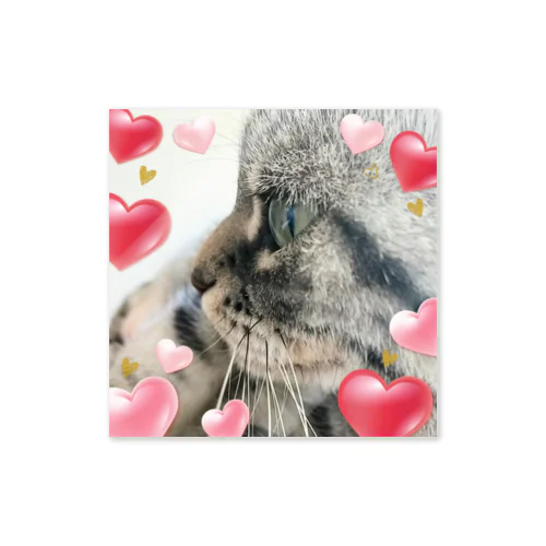 💖にゃんこ キュンな猫 Sticker