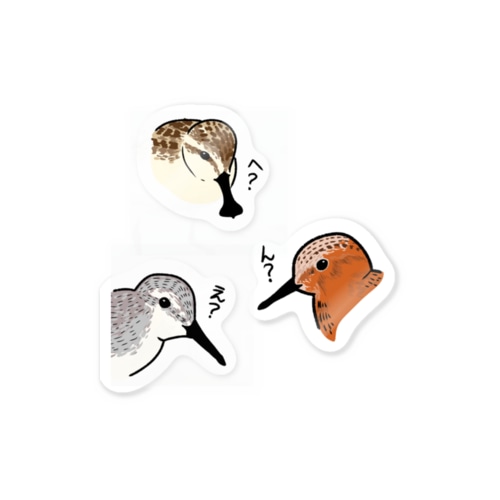 可愛シギ Sticker