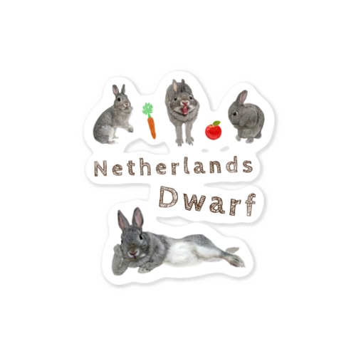ネザーランドドワーフウサギ Sticker