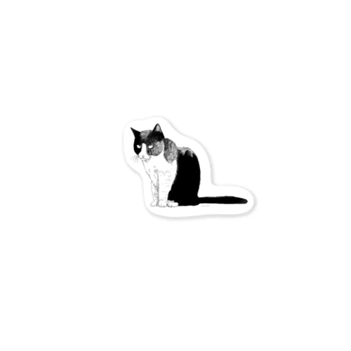 cat Sticker