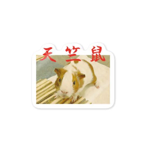 中華風天竺鼠 Sticker