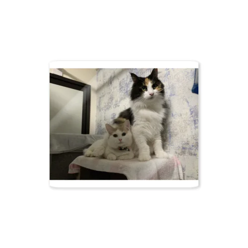 猫とハリセンボン Sticker