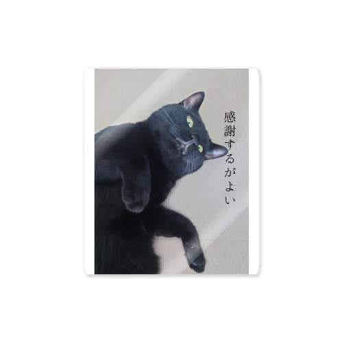 黒猫感謝の日 ステッカー