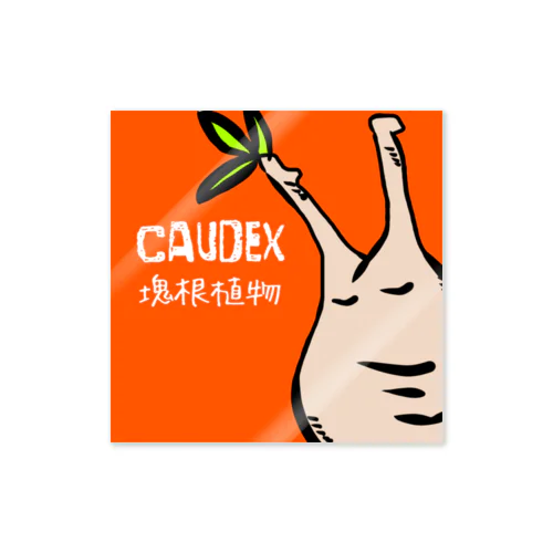 caudex  Sticker